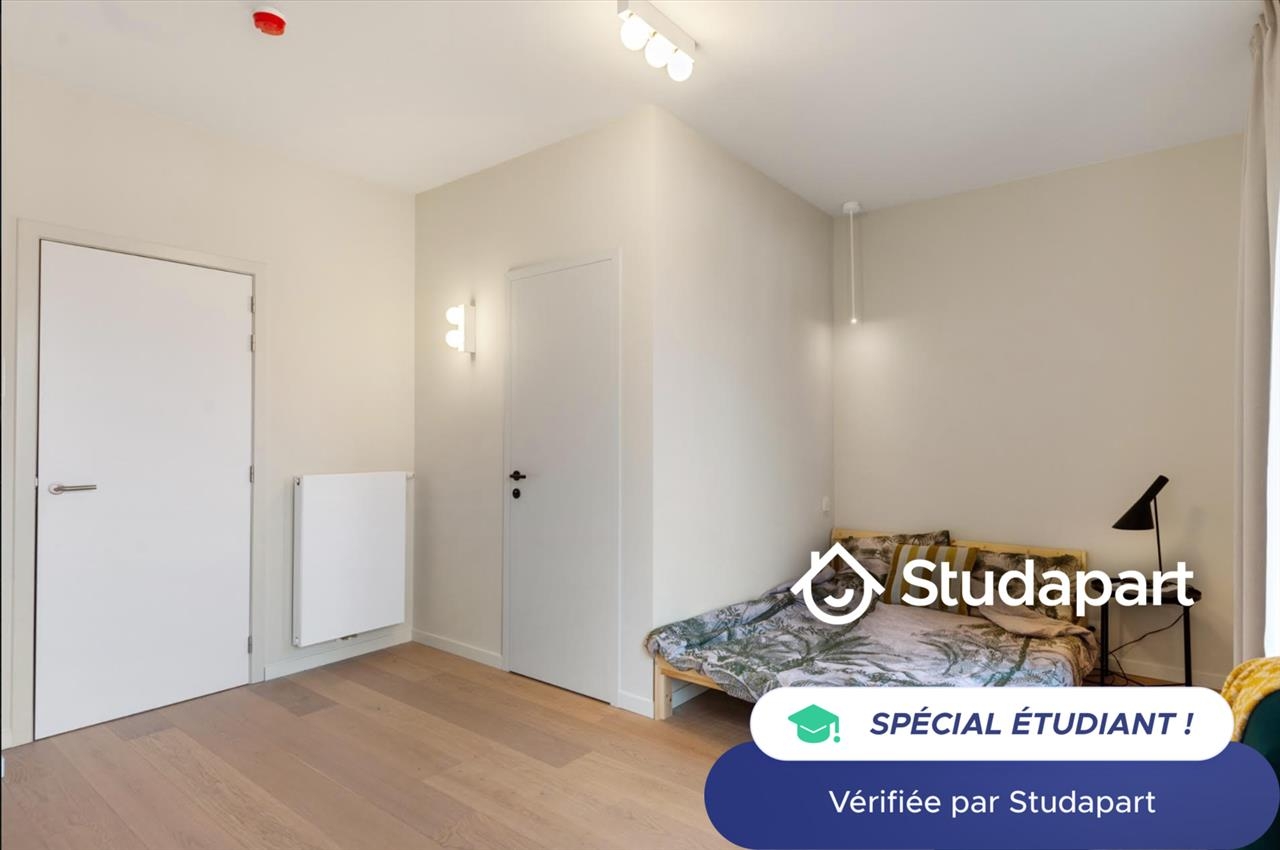 Kot te  huur in Antwerpen 2000 590.00€  slaapkamers 20.00m² - Zoekertje 94628