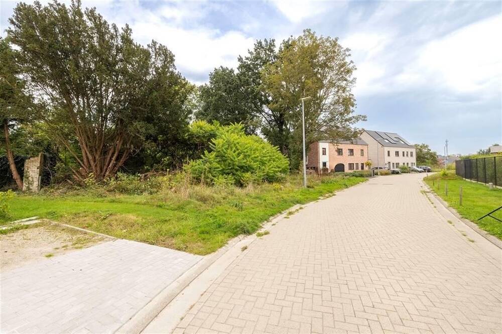 Grond te  koop in Berlaar 2590 139000.00€  slaapkamers m² - Zoekertje 252571