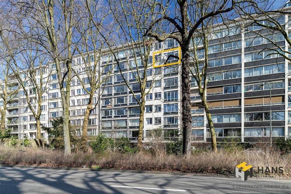 Appartement te  koop in Antwerpen 2018 390000.00€ 3 slaapkamers 130.00m² - Zoekertje 303556